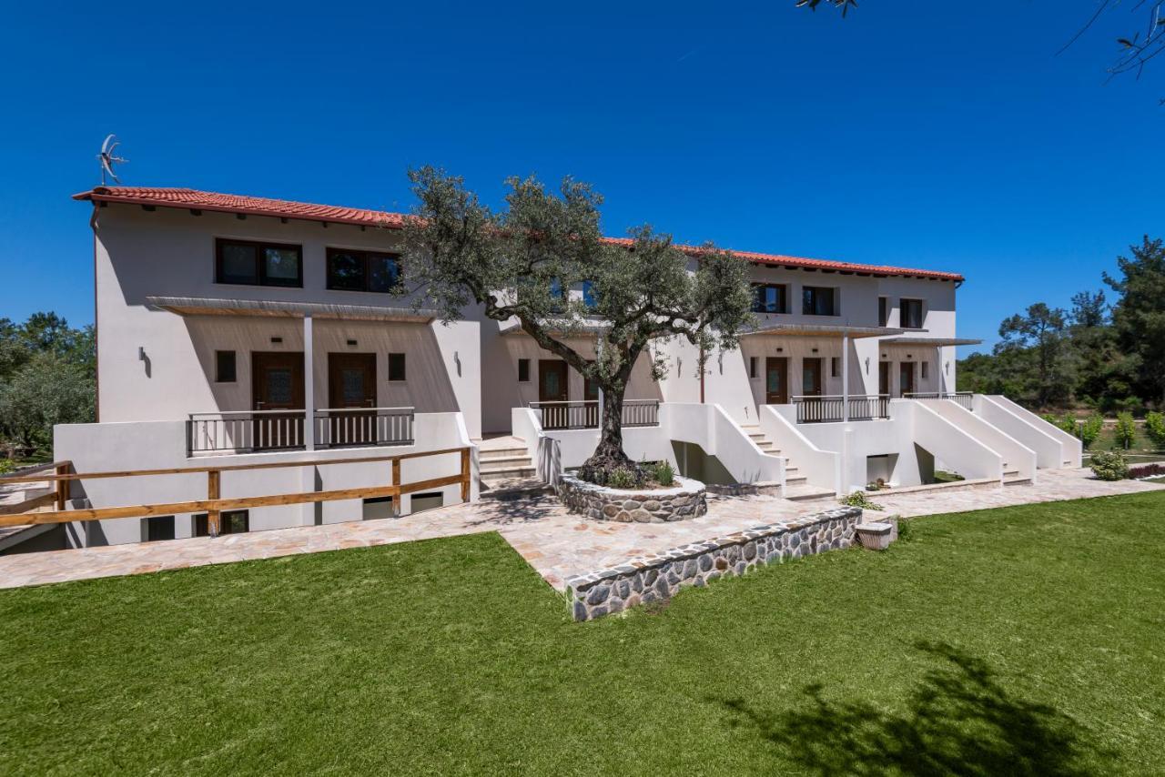 Dionysus Apartments & Suites إيريسوس المظهر الخارجي الصورة