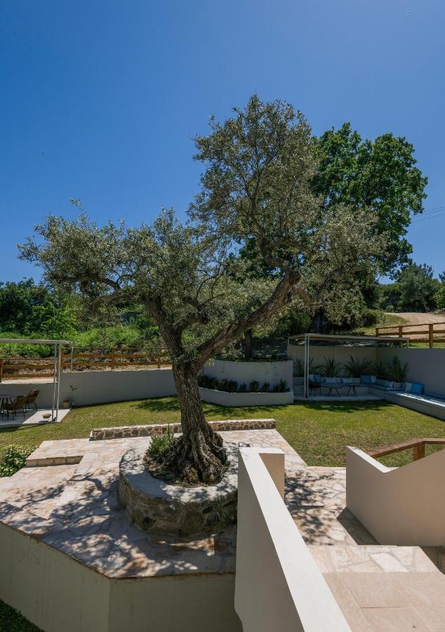 Dionysus Apartments & Suites إيريسوس المظهر الخارجي الصورة